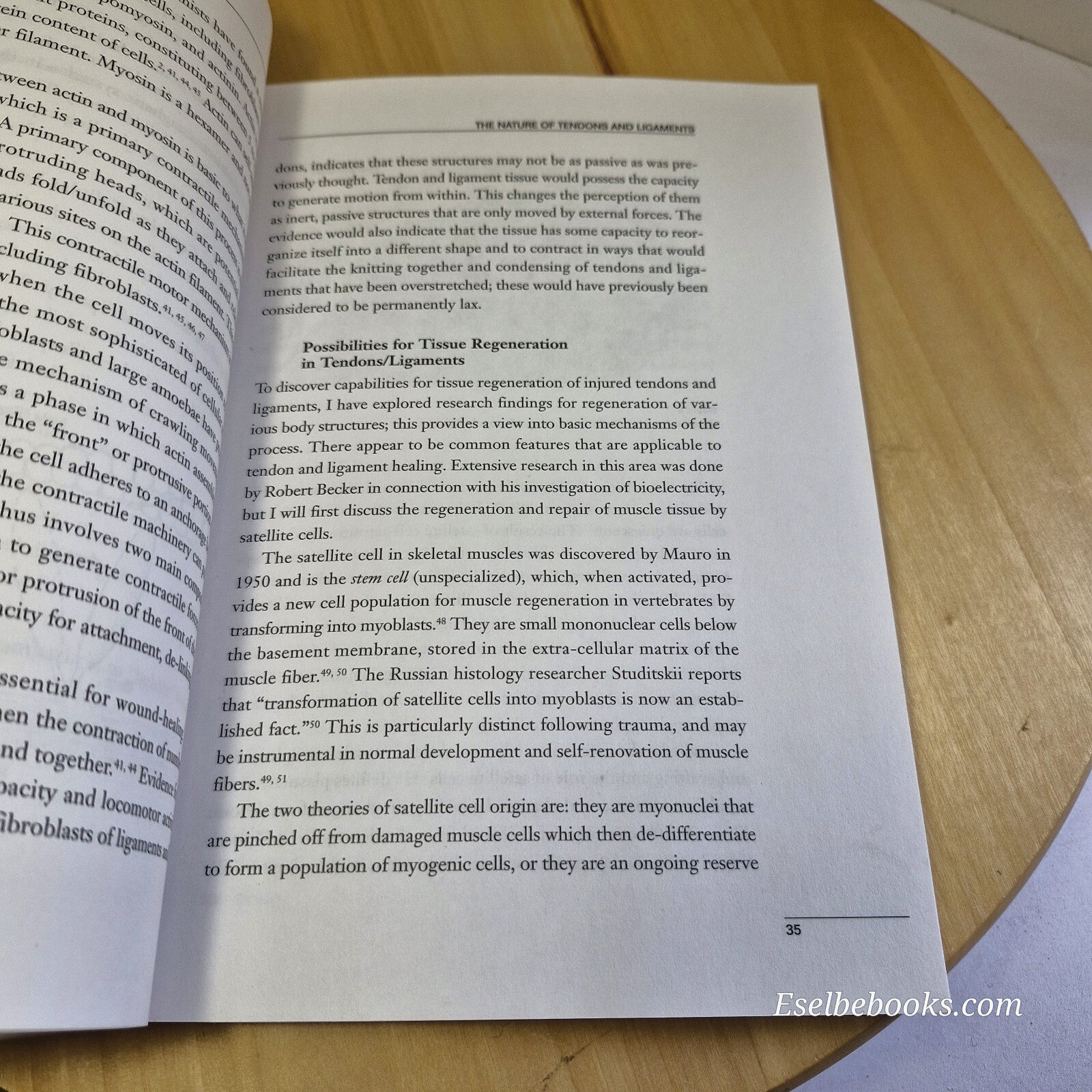 Tendon and Ligament Healing A New Approach Through Manual Therapy By William ...