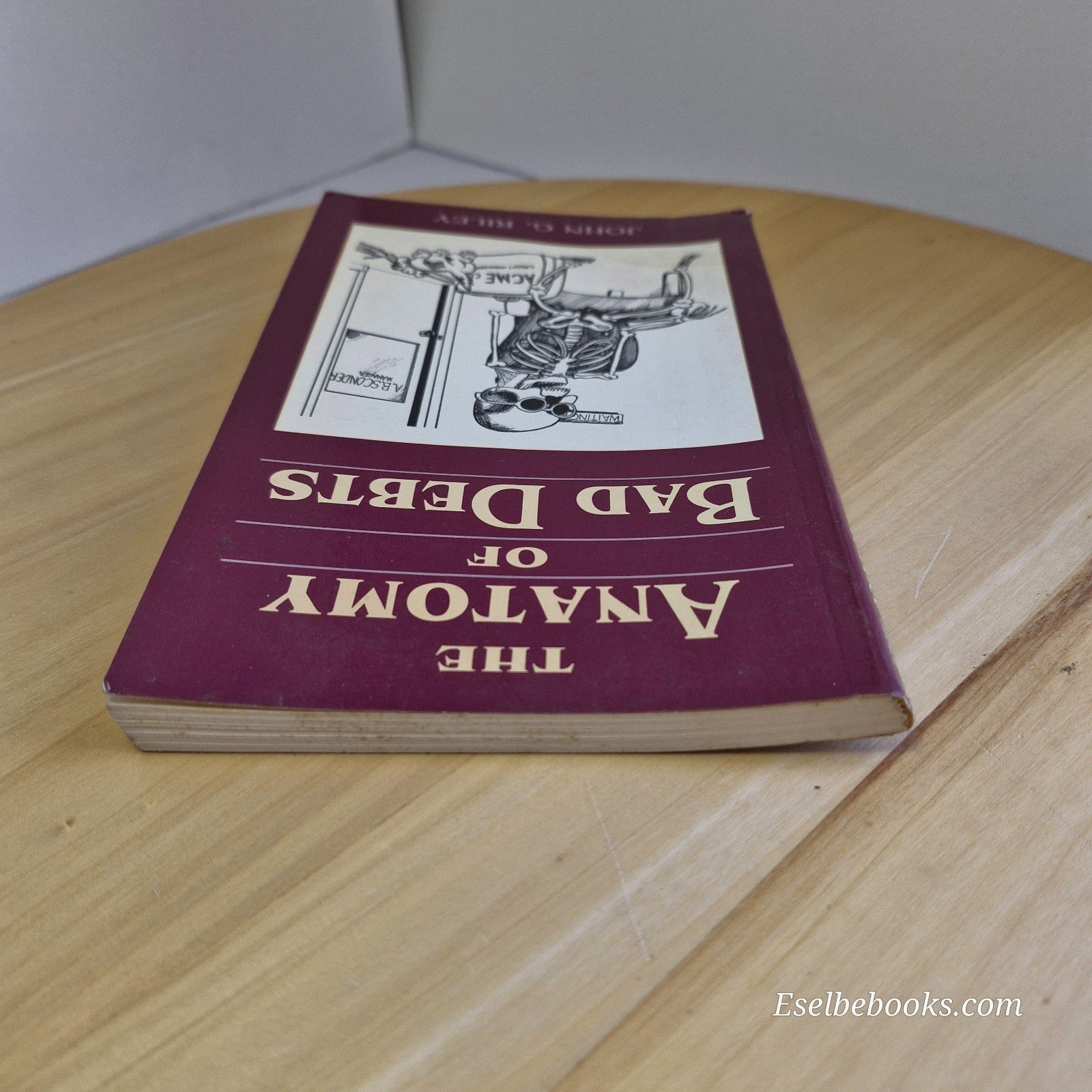 The Anatomy Of Bad Debts By John G. Riley - paperback