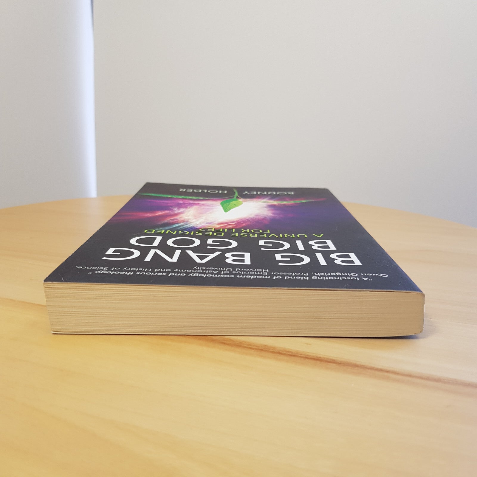 Big Bang Big God A Universe Fit for Life By Rodney Holder · 2013 - paperback