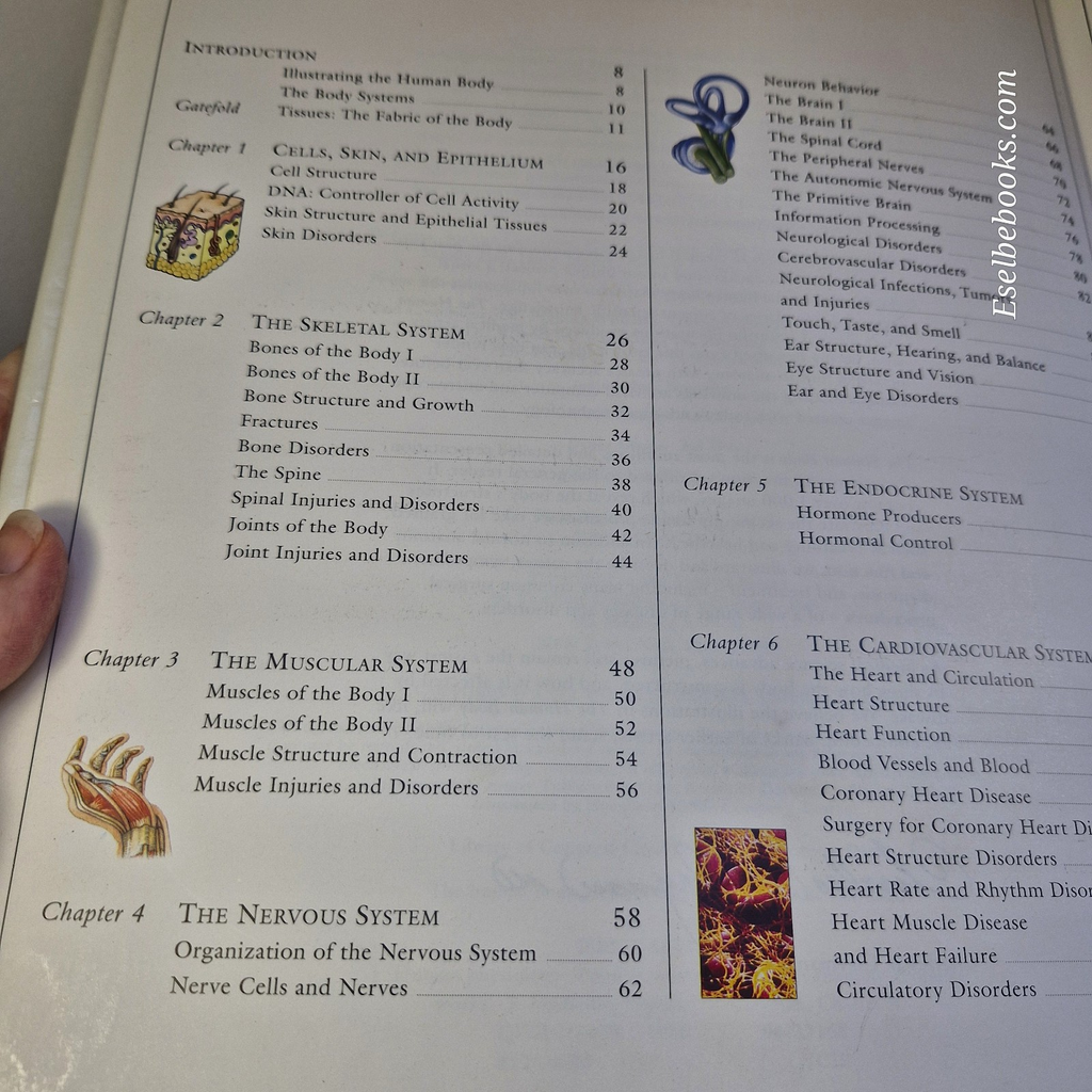 Illustrated Guide to the Human Body by DK Publishing Staff - large hardback