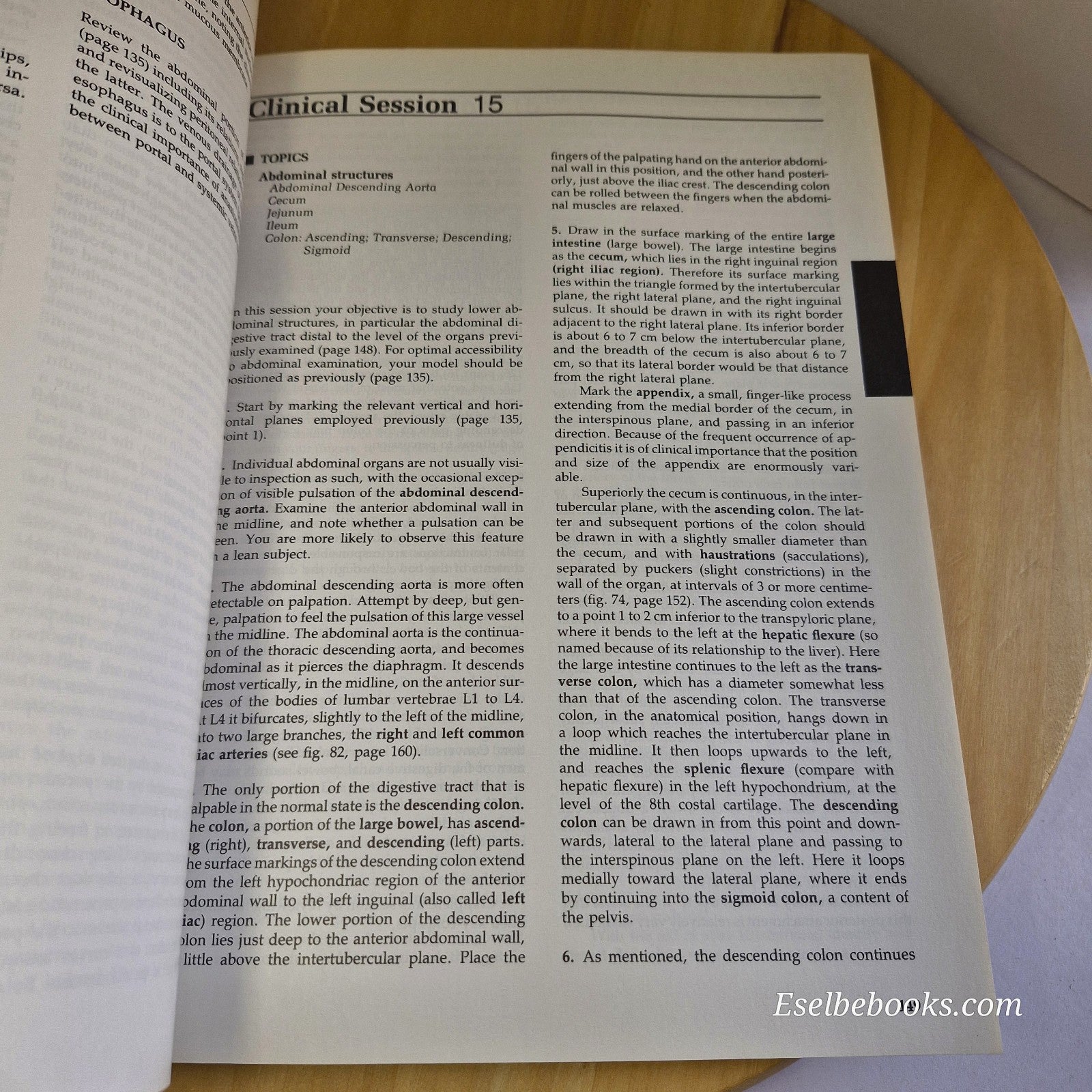 Your Patient's Anatomy A Clinical View of Human Morphology By Stan R. Blecher