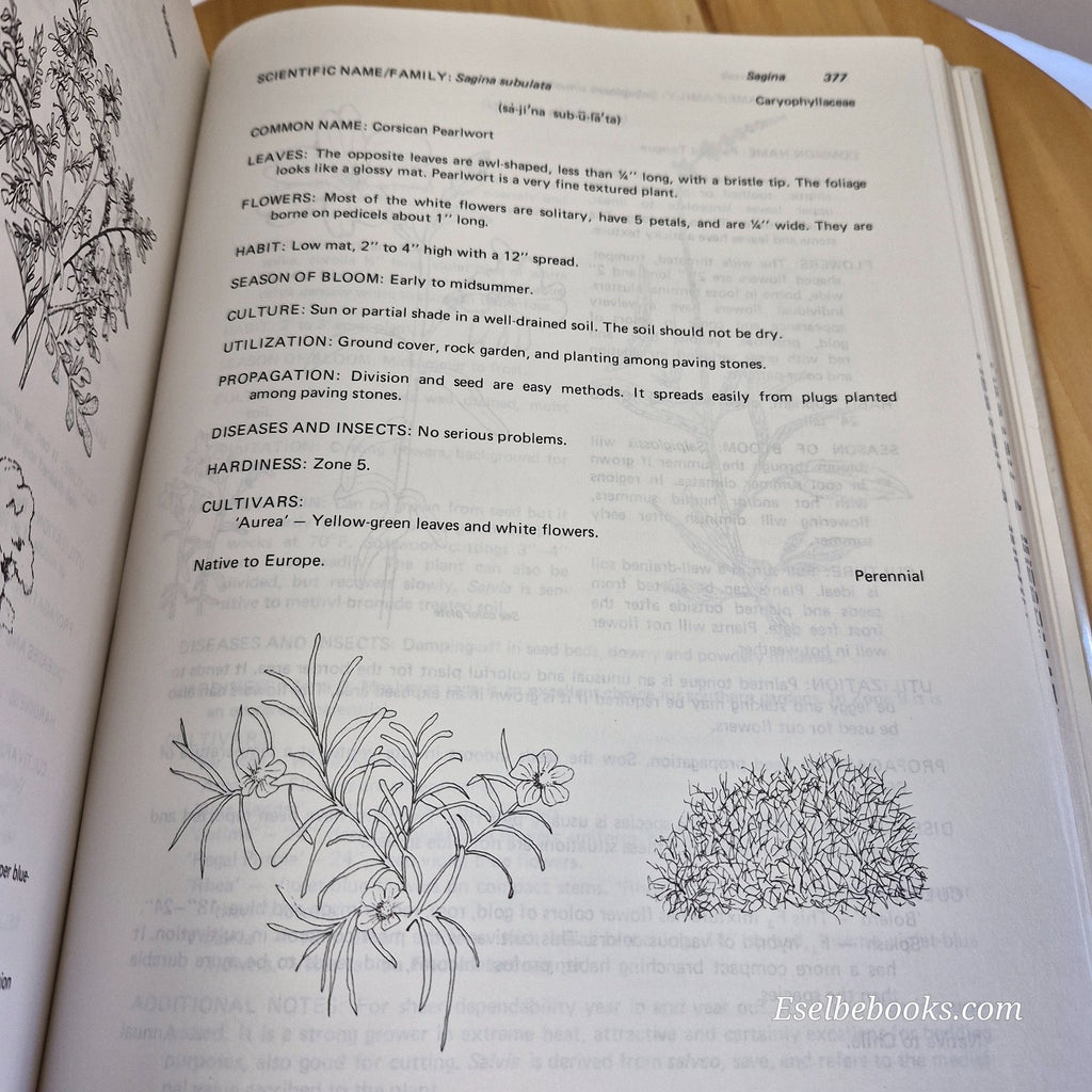 Manual of Herbaceous Ornamental Plants By Steven M. Still - large hardback