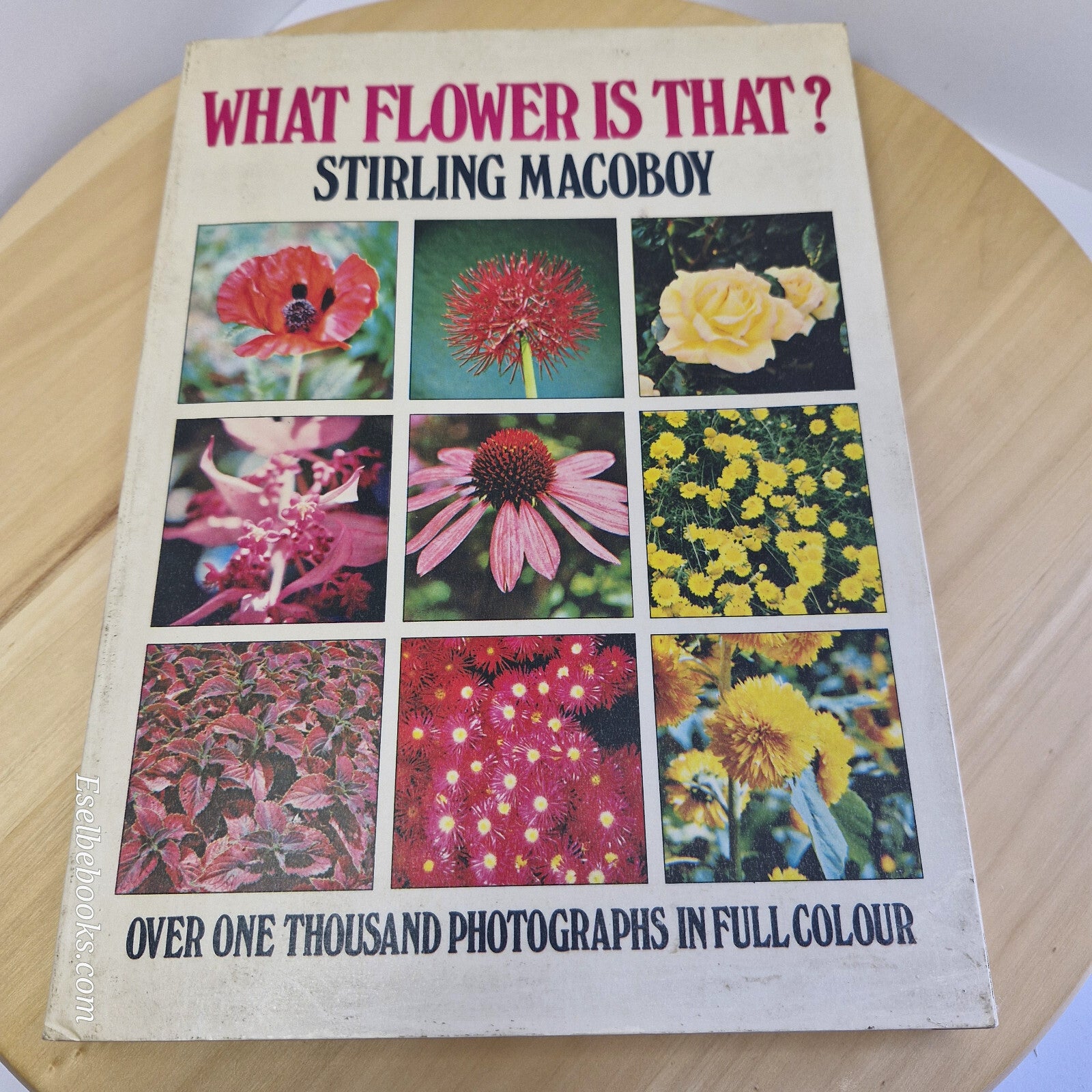 Australian flora: What Flower is That? By Stirling Macoboy · 1980