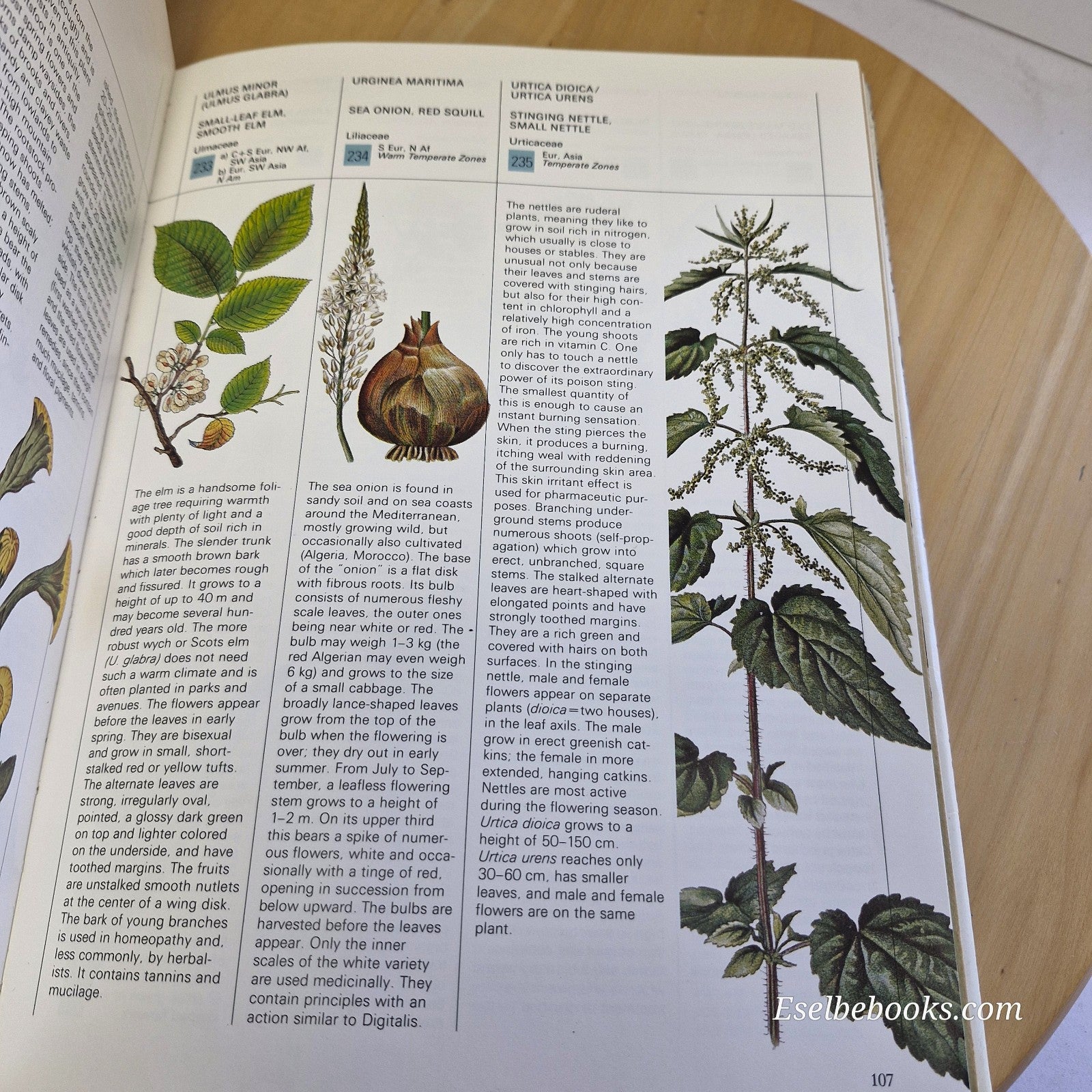 Healing Plants A Modern Herbal Health ed. William A R Thomson - vintage hardback