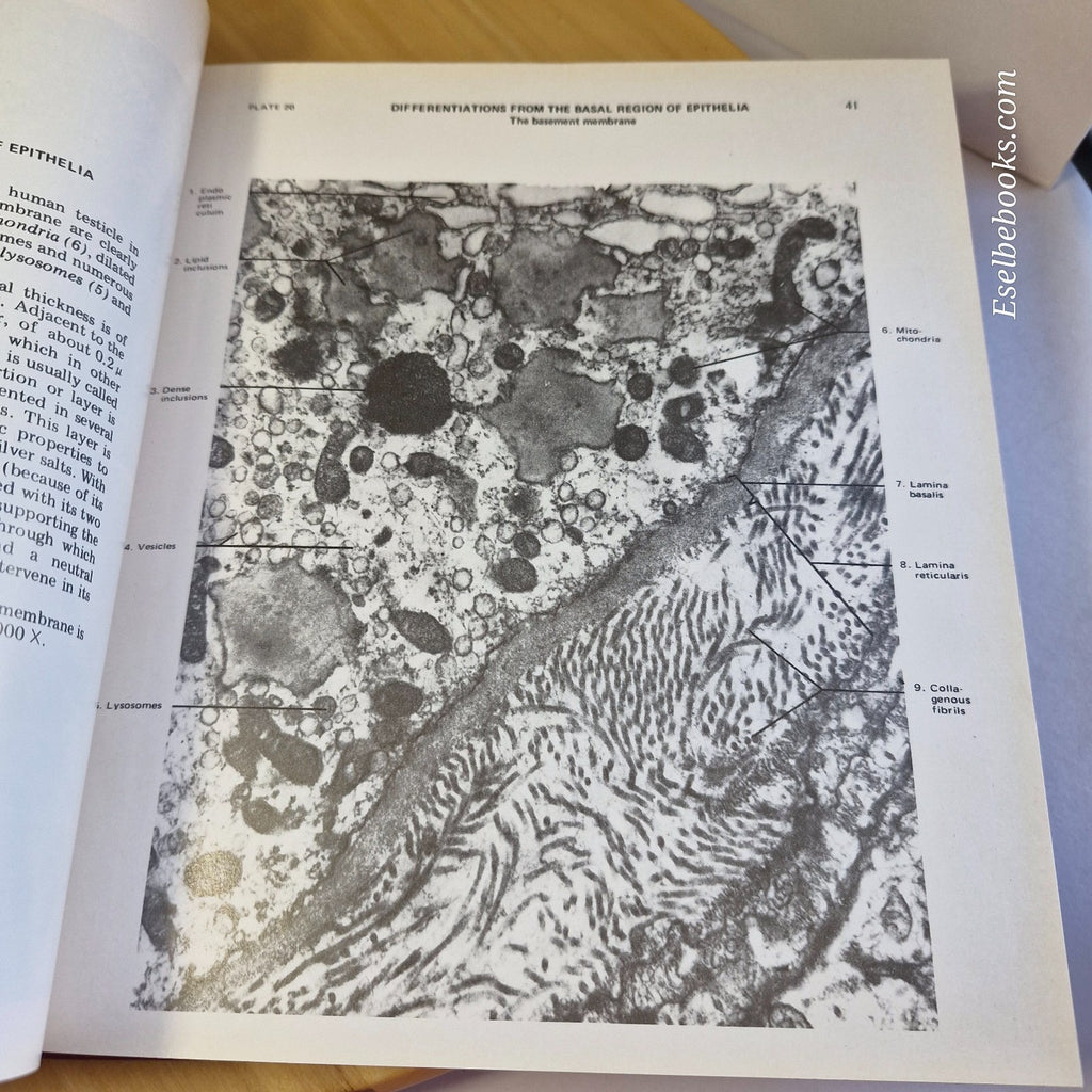 New Atlas of Histology Light Microscopy, Histochemistry and Electron Microscopy