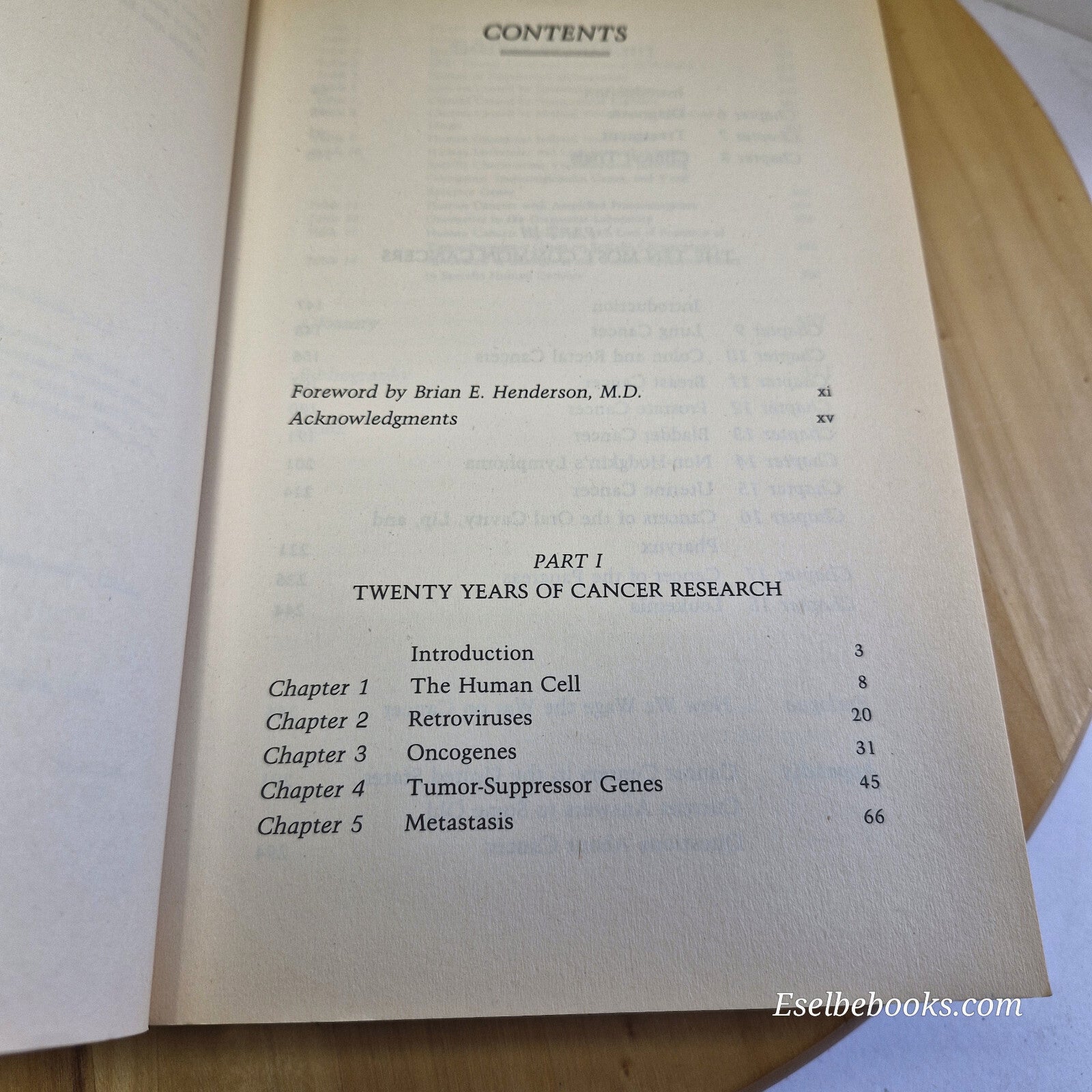 Cancer By Robert M. Mcallister, Sylvia Teich Horowitz, Raymond V. Gilden · 19...