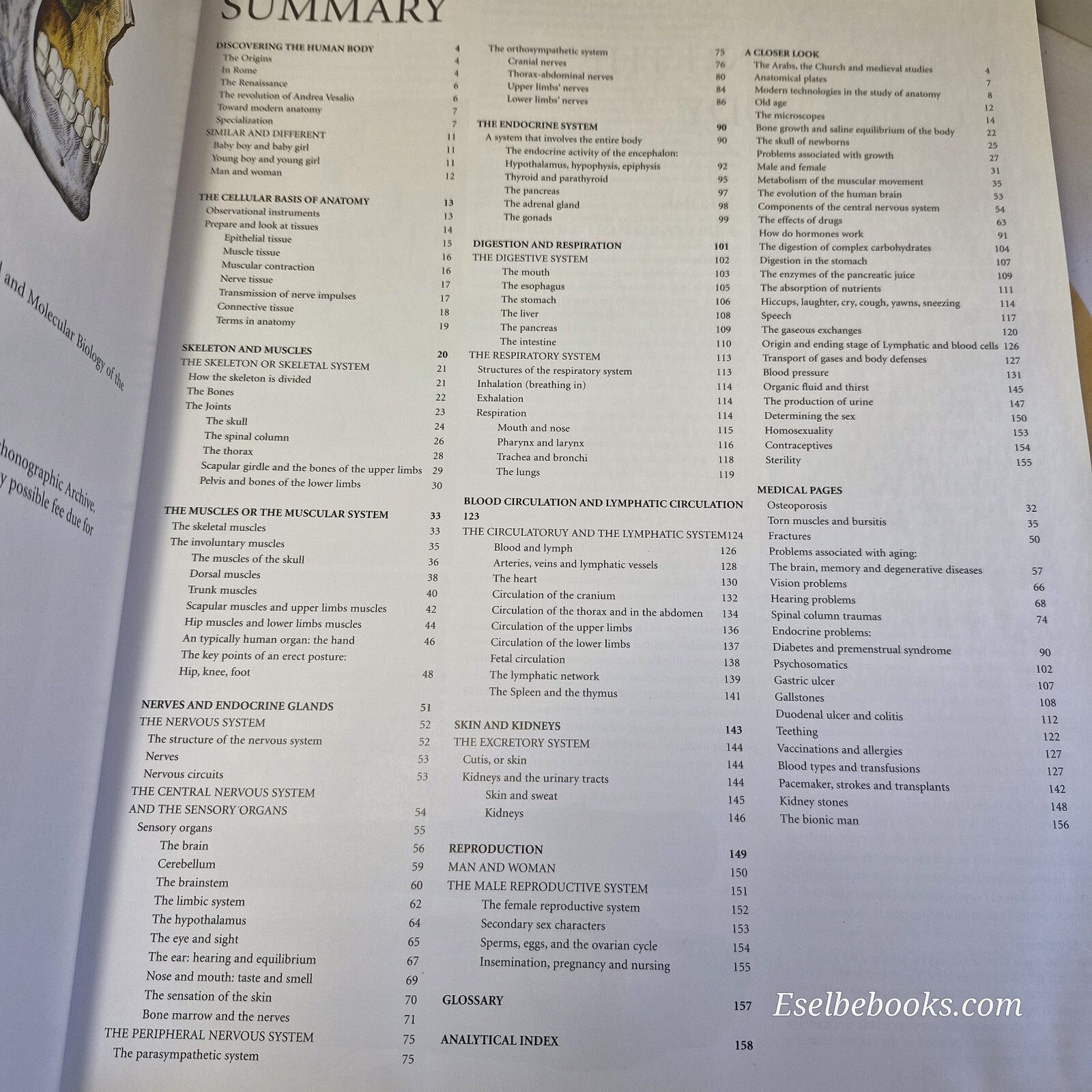 Human Anatomy By Giovanni Iazzetti · 2006 - large hardback