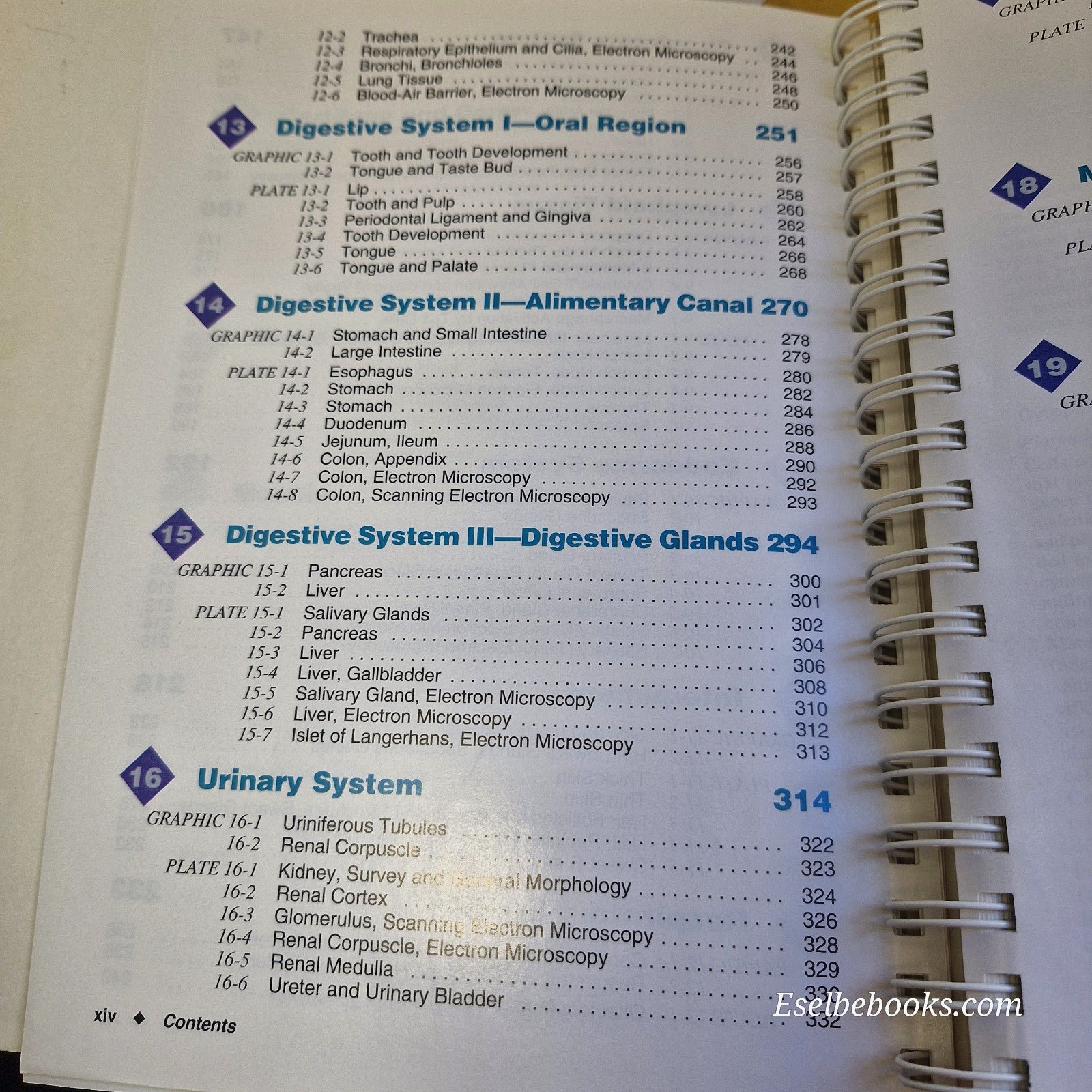 Color Atlas of Histology By Leslie P Gartner & James L Hiatt - paperback