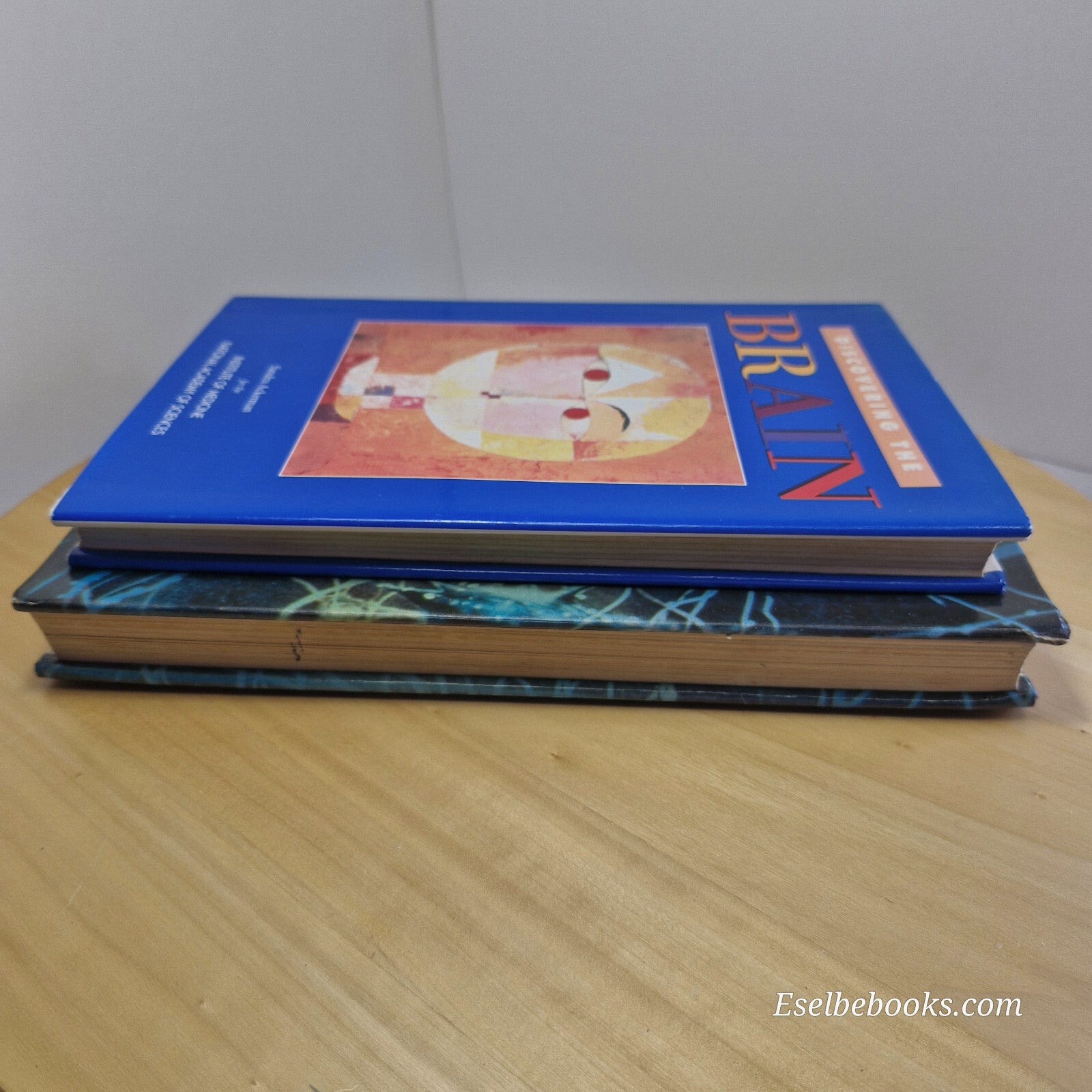 Science: 2 books about the brain - hardbacks