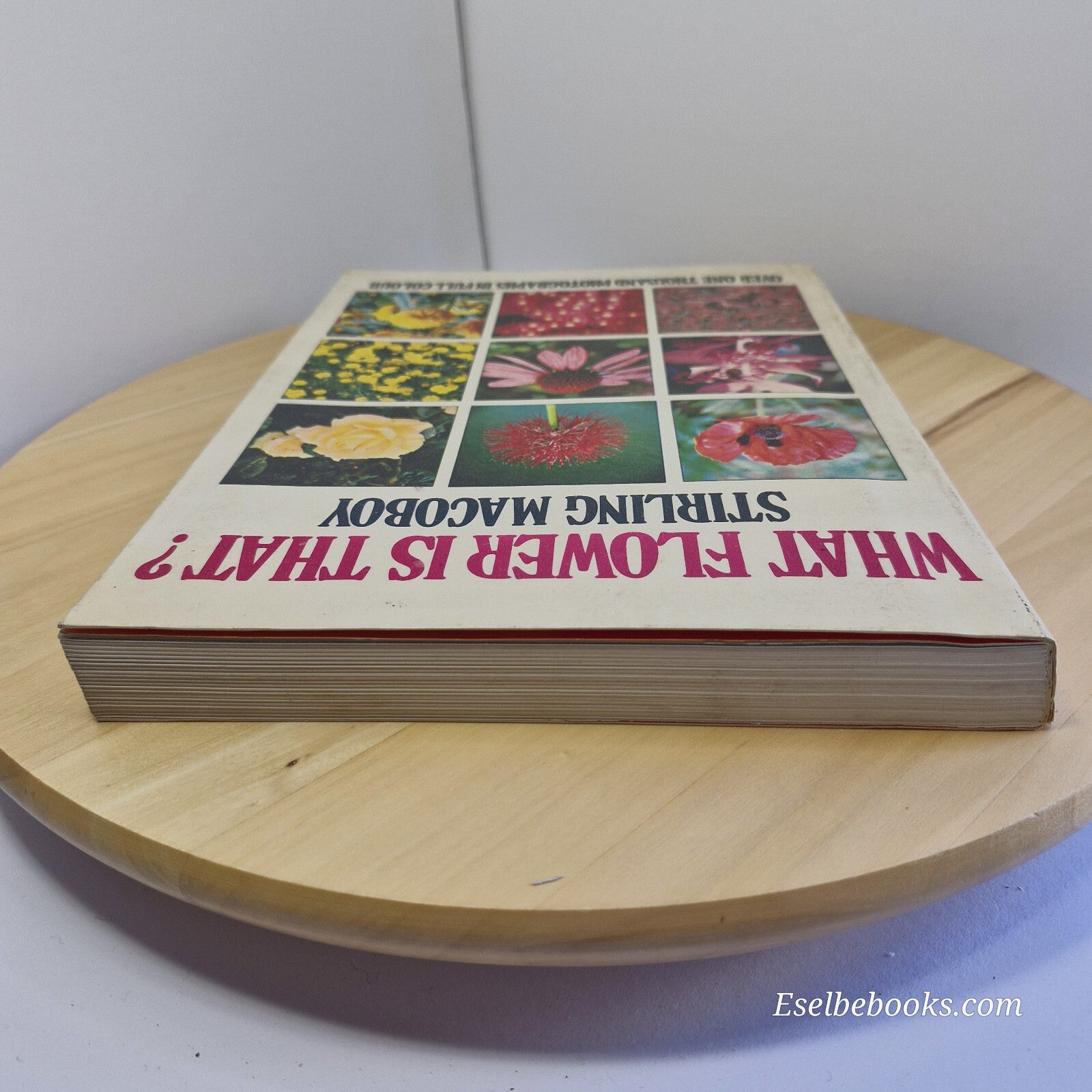 Australian flora: What Flower is That? By Stirling Macoboy · 1980