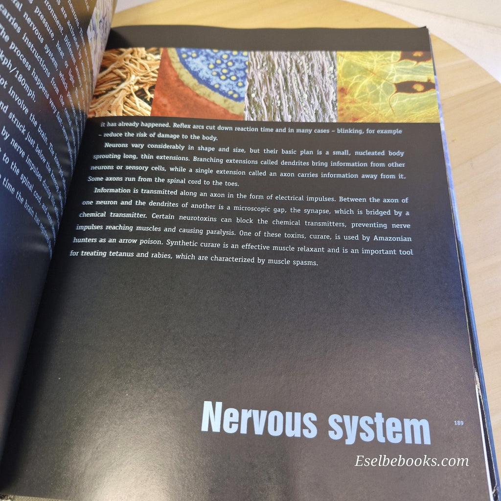 Inside the Body: Fantastic Images from Beneath the Skin - hardback