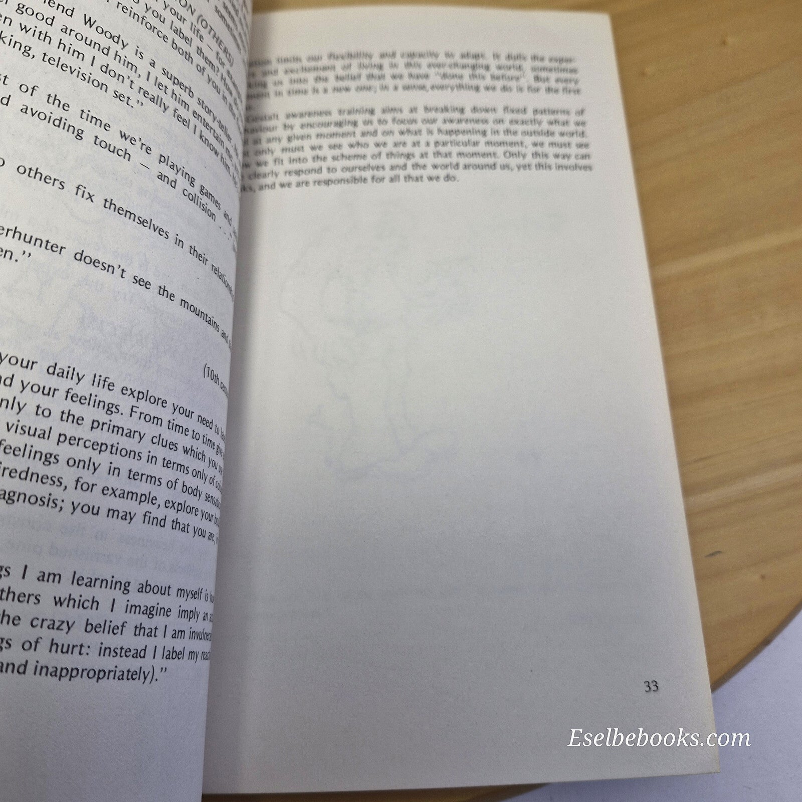 Risking Being Alive The Wisdom of Now By James Oldham, Igor Yaro Starak, Tony...