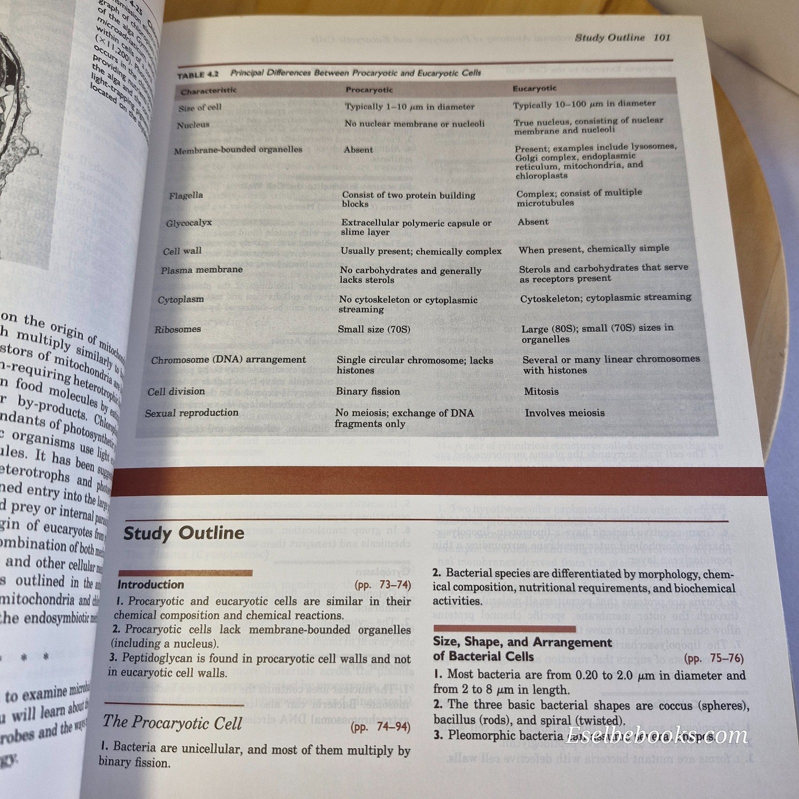 Microbiology - An Introduction - 3rd Edition Tortora/Runke/Case - Hardcover