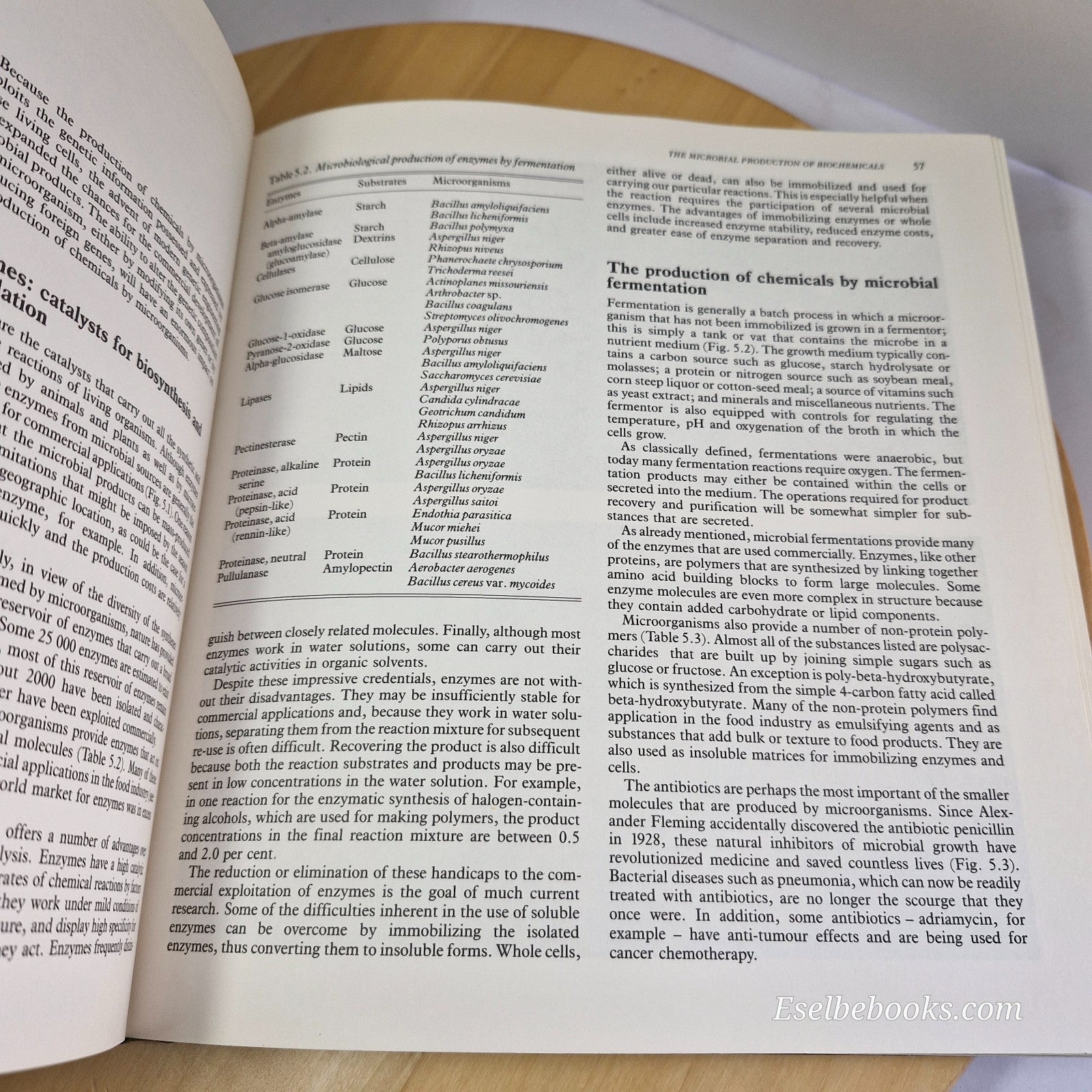 Revolution in Biotechnology by Jean L. Marx - hardback/dust jacket