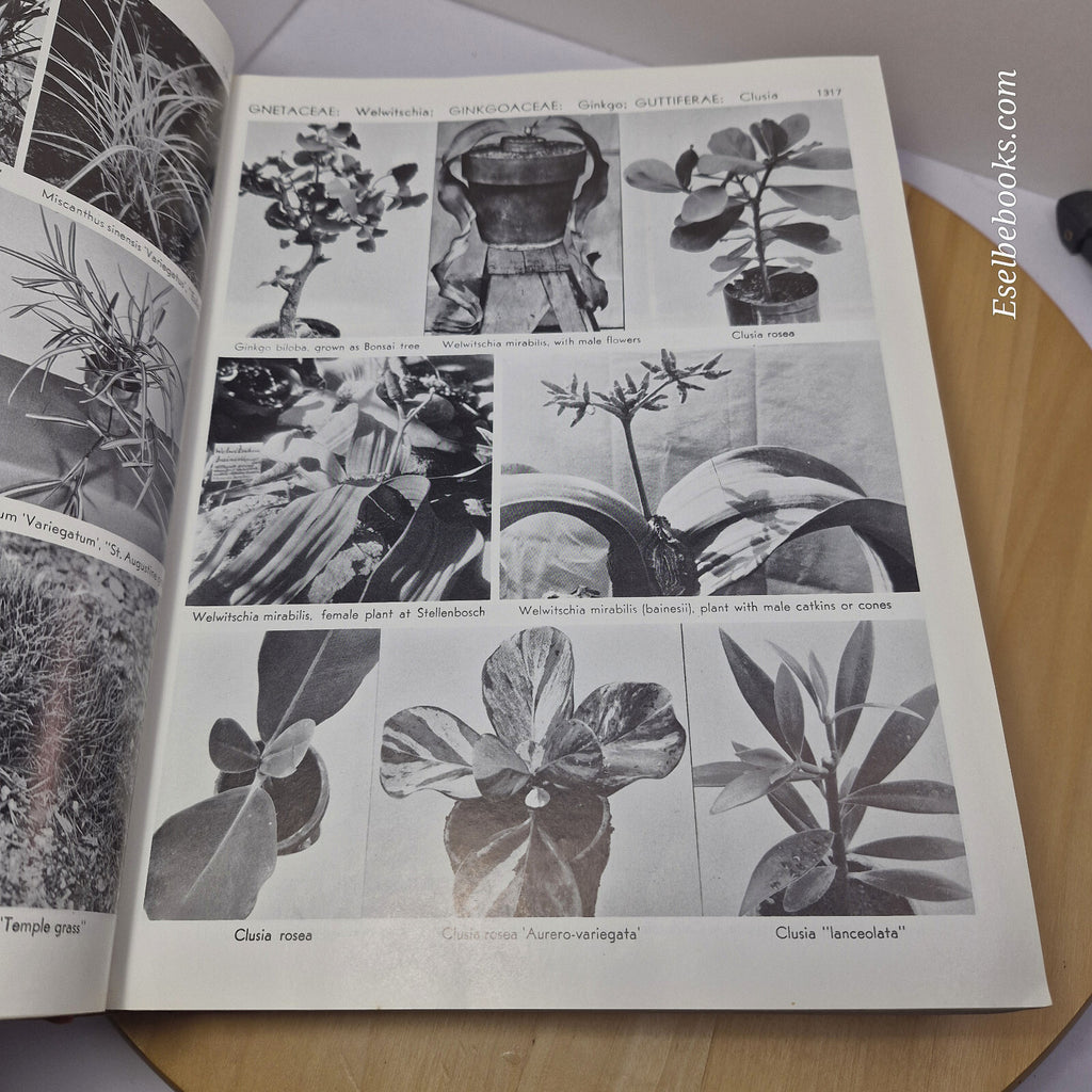 Exotica, Series 4 International Pictorial Cyclopedia of Exotic Plants from Tr...
