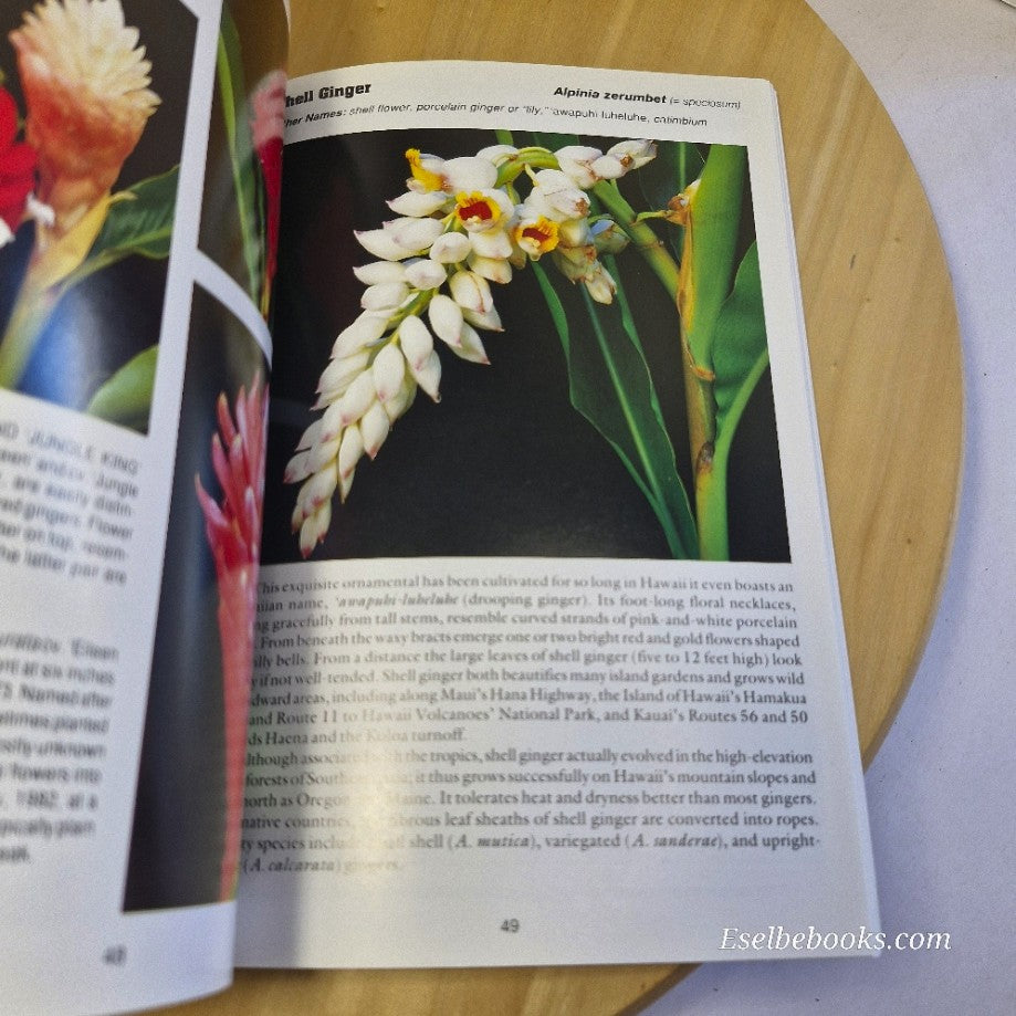 Exotic Tropicals of Hawaii: Heliconias anthurums & decorative foliage - A Kepler