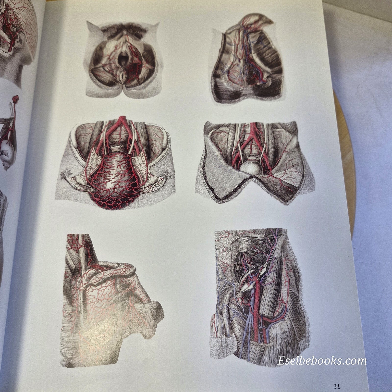 Inside the human body: A Sourcebook for Artists and Designers - paperback NO CD
