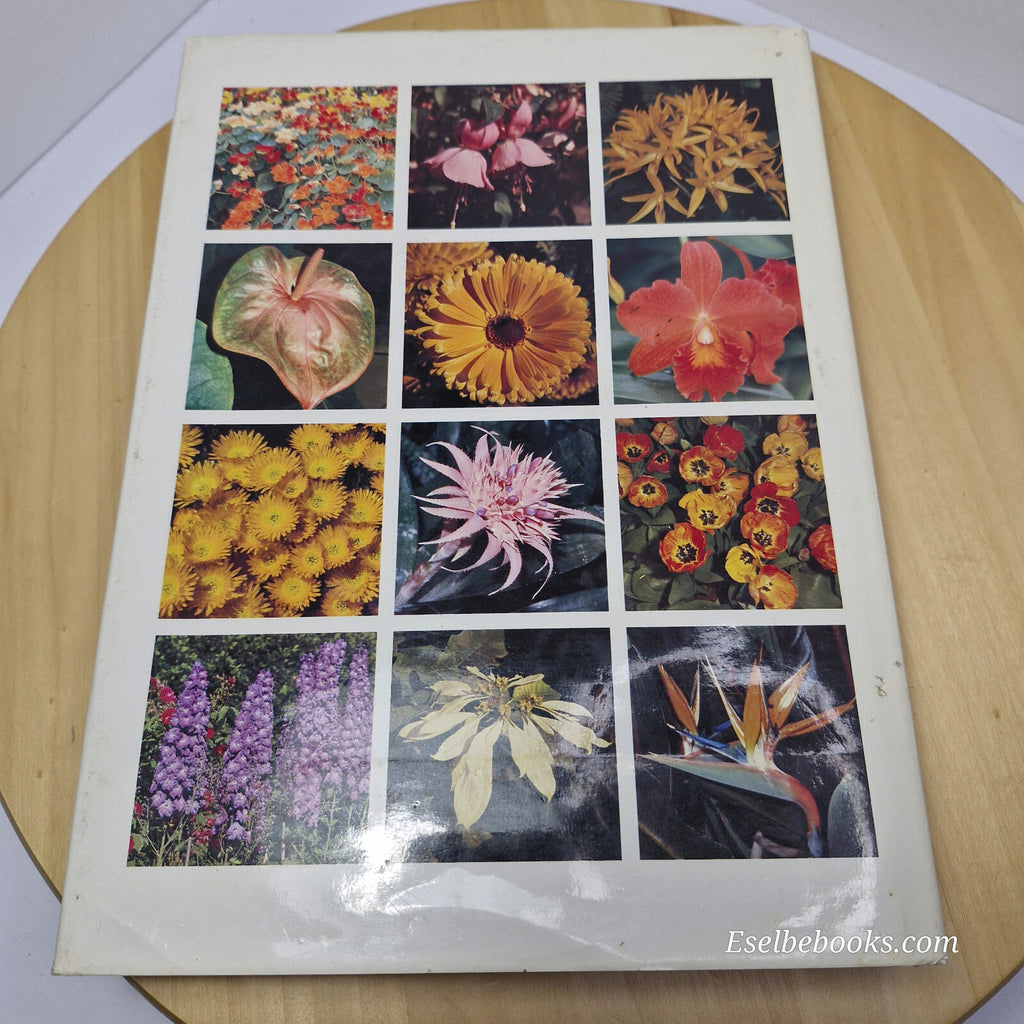 Australian flora: What Flower is That? By Stirling Macoboy · 1980