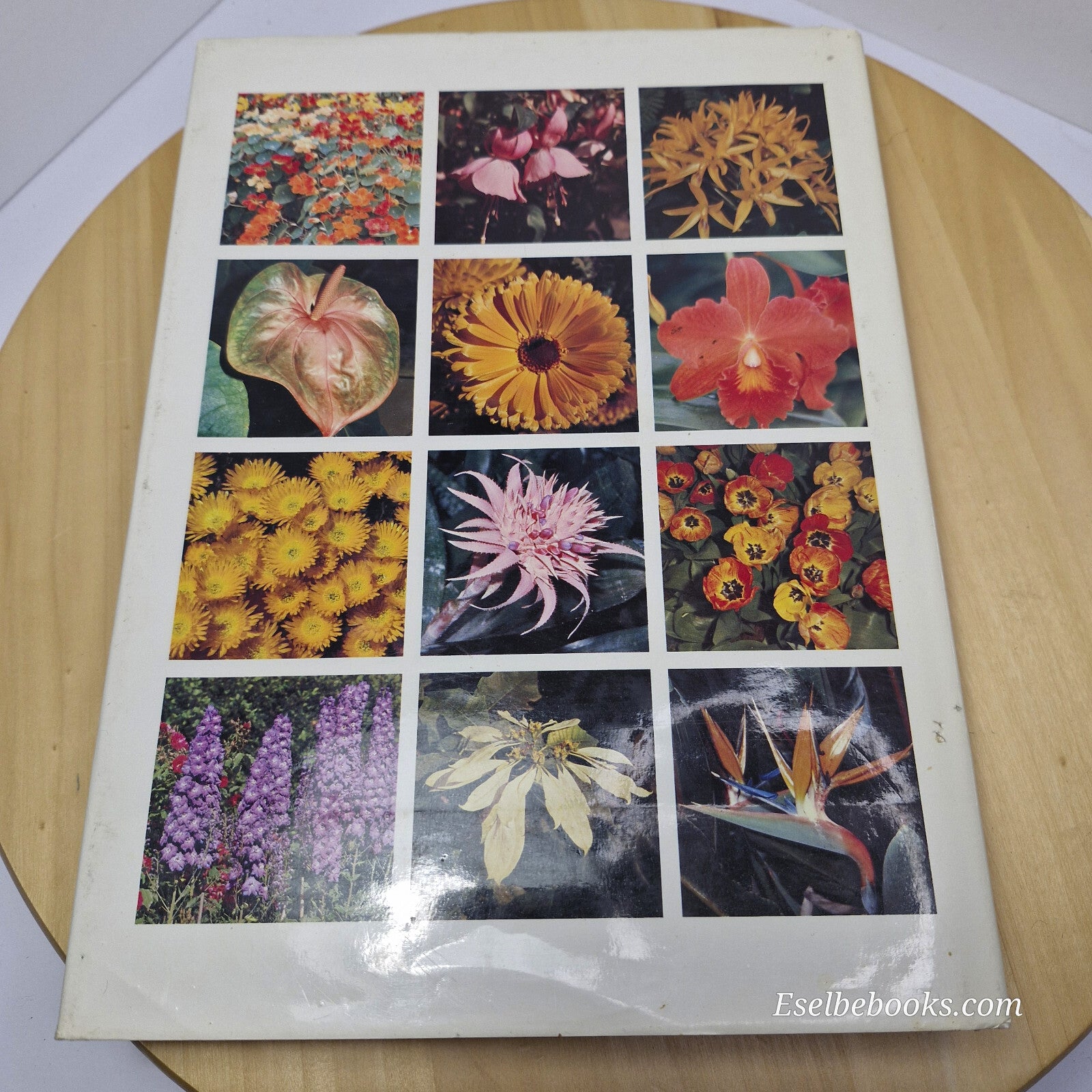 Australian flora: What Flower is That? By Stirling Macoboy · 1980