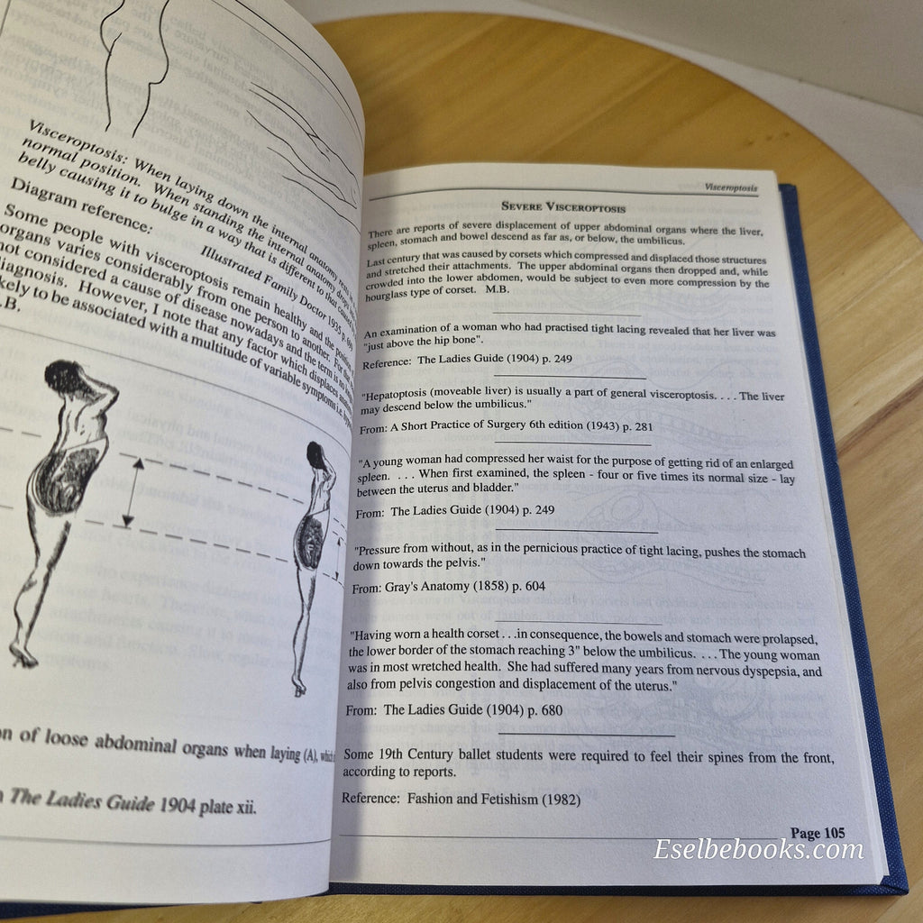 The Posture Theory Some Additional Considerations By M. A. Banfield · 1994 - ...