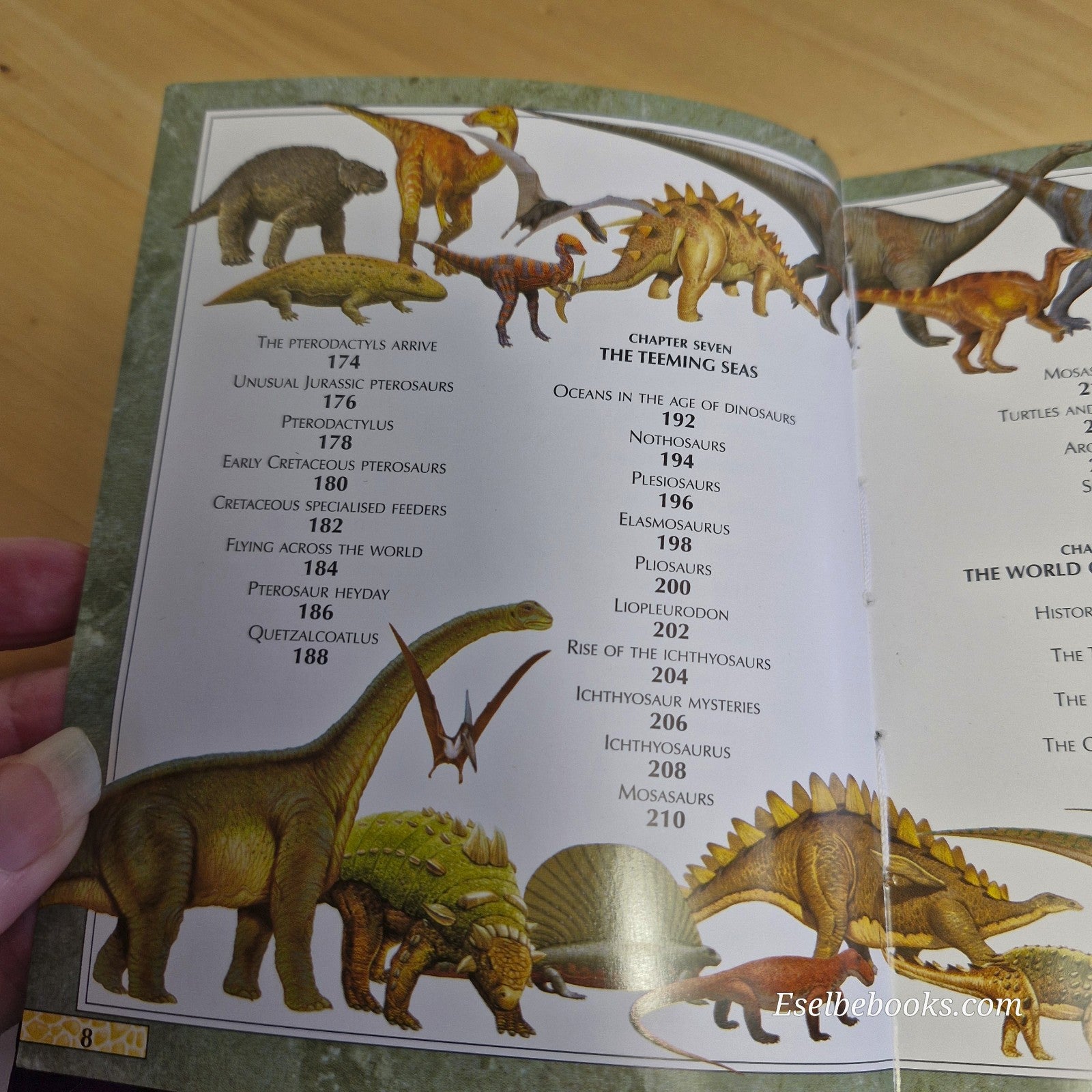 Mini Children's Reference: Encyclopedia of dinosaurs - hardback