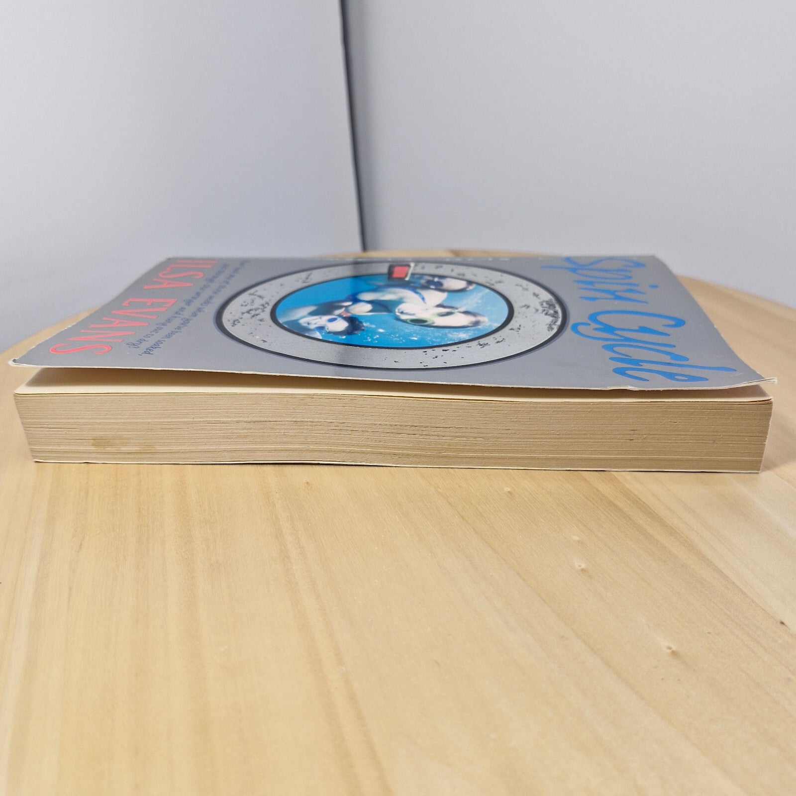 Australian Author: Spin Cycle By Ilsa Evans · 2002 - large paperback