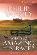 Bundle x 4  religious instruction books - What's so amazing about Grace?; Bea...