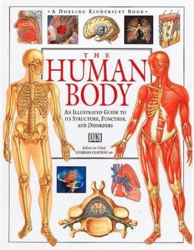 Illustrated Guide to the Human Body by DK Publishing Staff - large hardback